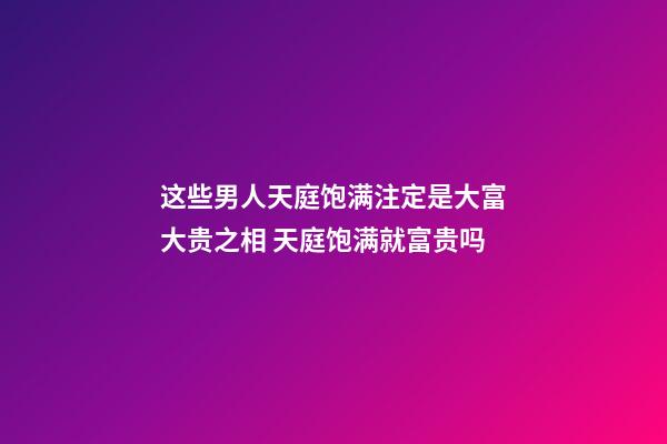 这些男人天庭饱满注定是大富大贵之相 天庭饱满就富贵吗